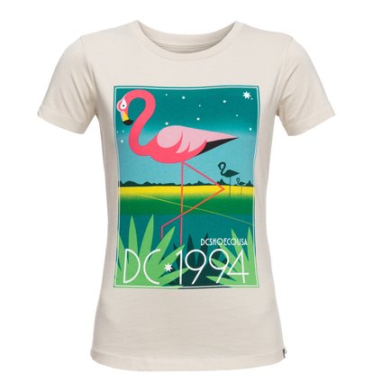 dcshoes, Футболка Key Bay, RAINY DAY (sew0) Key Bay - T-Shirt EDJZT03086