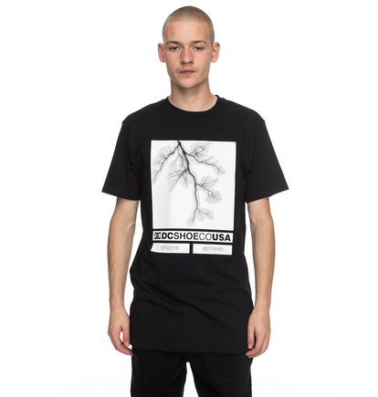 dcshoes, Футболка Stop Activities, BLACK (kvj0) Stop Activities - T-Shirt EDYZT03703