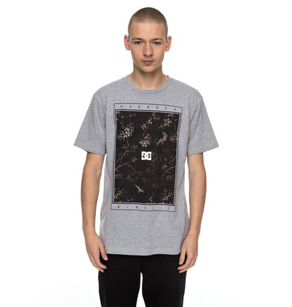 dcshoes, Футболка Autumn Charms, GREY HEATHER (knfh) Autumn Charms - T-Shirt EDYZT03720