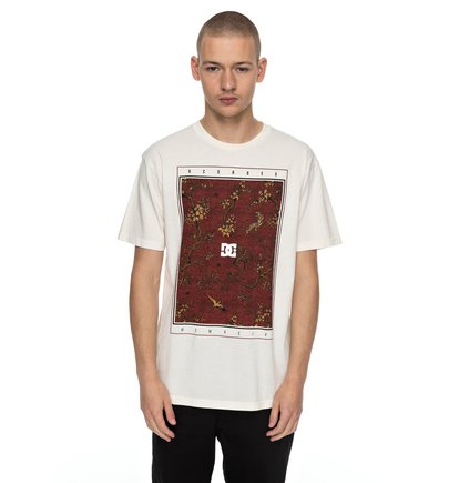 dcshoes, Футболка Autumn Charms, ANTIQUE WHITE (wcl0) Autumn Charms - T-Shirt EDYZT03720