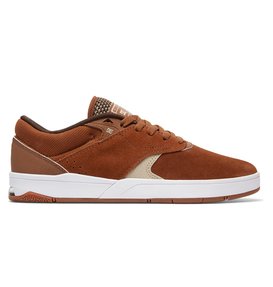 dcshoes, Tiago S - Chaussures de skate, BROWN/TAN (btn) Tiago S - Skate Shoes ADYS100386