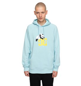 dcshoes, Men's DCxENJOI Hoodie, LIGHT BLUE (bfn0) DCXENJOI SCREEN FL ADYSF03018