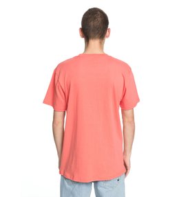 dcshoes, Men's DC Star Tee, PORCELAIN ROSE (mke0) DC Star - T-Shirt ADYZT03119