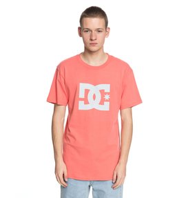 dcshoes, Men's DC Star Tee, PORCELAIN ROSE (mke0) DC Star - T-Shirt ADYZT03119