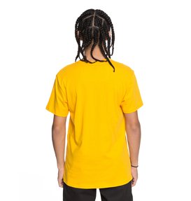 dcshoes, Men's DC Star Tee, OLD GOLD (ykf0) DC Star - T-Shirt ADYZT03119