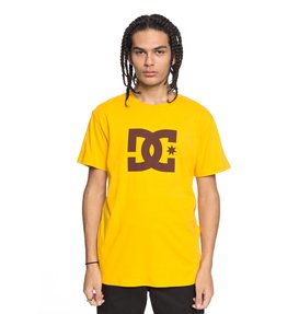 dcshoes, Men's DC Star Tee, OLD GOLD (ykf0) DC Star - T-Shirt ADYZT03119