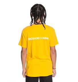 dcshoes, Men's Stage Box Tee, OLD GOLD (ykf0) STAGE BOX SS ADYZT04245