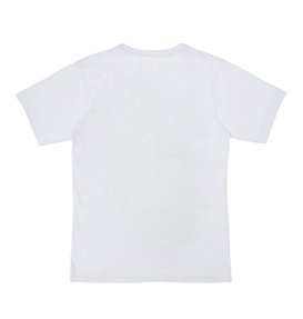 dcshoes, Camiseta Básica Juvenil Disrupt, WHITE (wht) DC CAM BAS JUV DISRUPT BR68111930