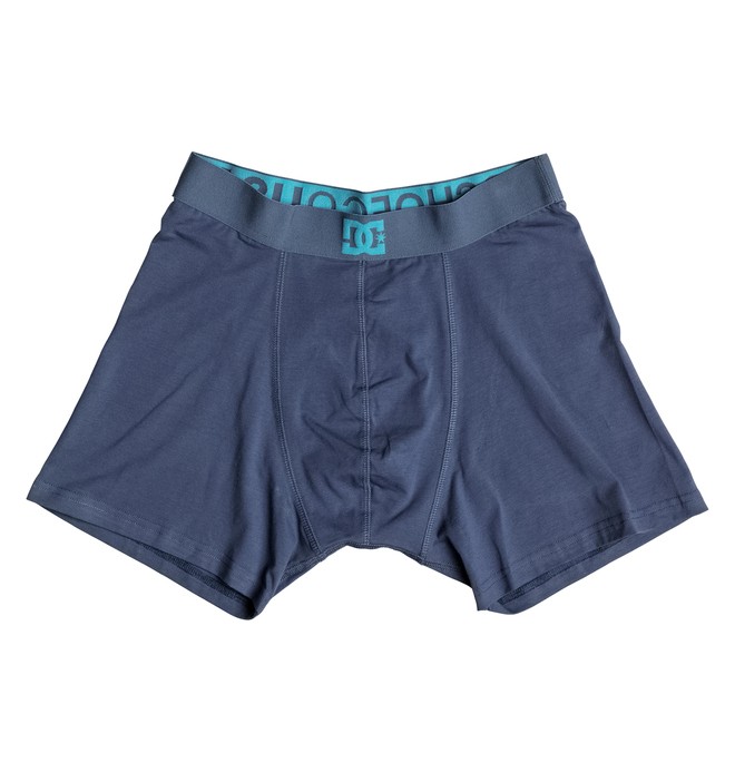 dcshoes, Woolsey - Boxers, SUMMER BLUES (bra0) 0 Woolsey - Boxers Bleu EDYLW00003 DC Shoes