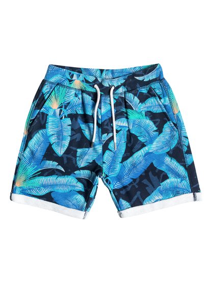 quiksilver, Детские шорты Riot, RIOT NAVY BLAZER (byj6) Riot - Shorts EQBFB03013
