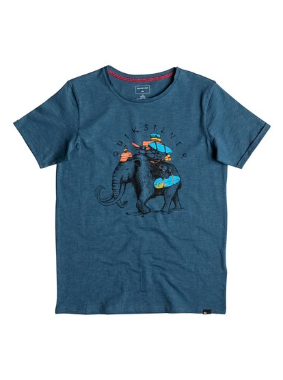 quiksilver, Футболка Slub Momoth, INDIAN TEAL (bqk0) Slub Momoth - T-Shirt EQBZT03496