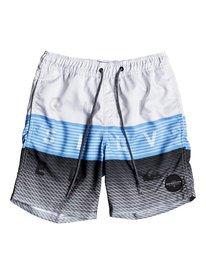 quiksilver, Пляжные шорты Word Block 15", WHITE (wbb6) WORD BLOCK VOLLEY YOUTH 15 EQBJV03136