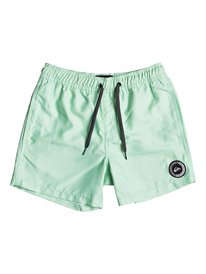 quiksilver, Пляжные шорты Everyday 13", GREEN ASH (gdw0) EVERYDAY VOLLEY YOUTH 13 EQBJV03141