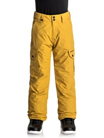 quiksilver, Сноубордические штаны Porter, MUSTARD GOLD (ylm0) Porter - Snow Pants EQBTP03012