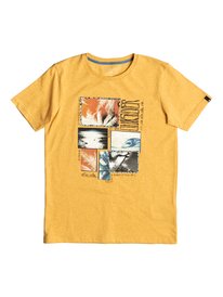 quiksilver, Футболка Heather Paradise Forg, GOLDEN GLOW (yks0) Heather Paradise Forg - T-Shirt EQBZT03461
