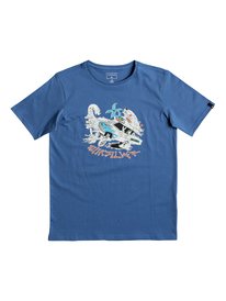 quiksilver, Футболка Classic Days On, BRIGHT COBALT (bpc0) SS CLASSIC TEE DAYS ON YOUTH EQBZT03672