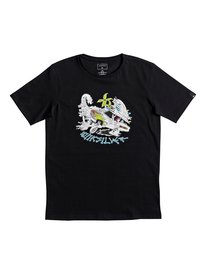 quiksilver, Футболка Classic Days On, BLACK (kvj0) SS CLASSIC TEE DAYS ON YOUTH EQBZT03672