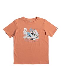 quiksilver, Футболка Classic Days On, CADMIUM ORANGE (nhj0) SS CLASSIC TEE DAYS ON YOUTH EQBZT03672