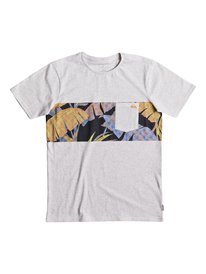 quiksilver, Футболка City Vibes, SNOW WHITE HEATHER (wbkh) CITY VIBES YOUTH EQBZT03701