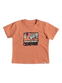 quiksilver, Футболка Classic Wemi, CADMIUM ORANGE (nhj0) SS CLASSIC TEE WEMI BABY EQIZT03034