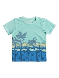 quiksilver, Футболка Oihana, EGGSHELL BLUE (bfd0) OIHANA BOY EQKZT03209