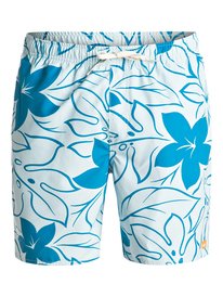quiksilver, Купальные шорты Nassau Chroma 18", PLEIN AIR (bzl0) Waterman Nassau Chroma 18" - Swim Shorts EQMJV03003