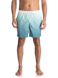 quiksilver, Пляжные шорты Fader 17", GREEN ASH (gdw6) Fader 17" - Swim Shorts EQYJV03296