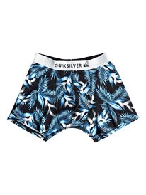 quiksilver, Трусы-боксеры Boxer Poster, BONNIE BLUE CLASSIC FLOWER (bjb6) Boxer Poster - Boxer Briefs EQYLW03025