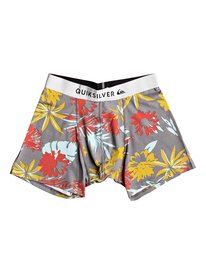 quiksilver, Трусы Boxer Poster, QUIET SHADE DESERT TRIP (kze6) Boxer Poster - Boxer Briefs EQYLW03031