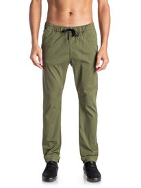quiksilver, Прямые брюки Fun Days, FOUR LEAF CLOVER (gph0) Fun Days - Straight Fit Trousers EQYNP03110