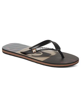 quiksilver mens shoes sneakers