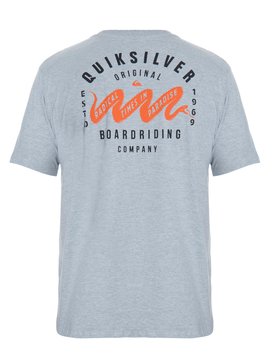 quiksilver, Camiseta Masculina Manga Curta Estampa Frente e Costas Quiksilver, MESCLA CLARO (mec) QK CAM BAS M/C BLACK SNAKE BR61114293