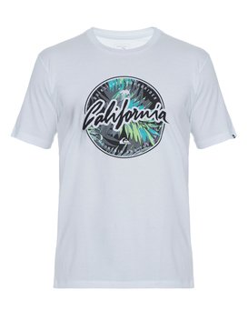 quiksilver, Camiseta Masculina Manga Curta Estampa Frontal Quiksilver, WHITE (wht) QK CAM BAS M/C CA CIRCLE BR61114316