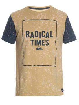 quiksilver, Camiseta Masculina Manga Curta Slim Fit Estampada Quiksilver., GREY ASH (gra) QK CAM ESPECIAL M/C RADICAL TIMES BR61142745