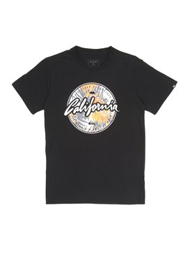 quiksilver, Camiseta Juvenil Estampa Frontal Quiksilver, BLACK (blk) QK CAM BAS M/C JUV CA CIRCLE BR68112025