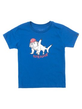 quiksilver, Camiseta Juvenil Manga Curta Estampa Frontal Quiksilver, STAR (str) QK CAM BAS M/C KIDS BUTCHER BOY BR68112054