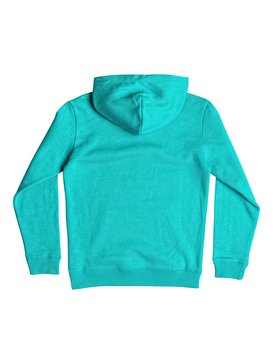 quiksilver, Big Logo - Sweat à capuche, VIRIDINE GREEN (bnf0) Big Logo - Hoodie EQBFT03338