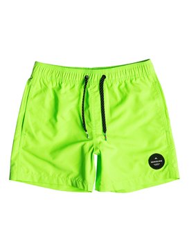 quiksilver, Everyday 13" - Traje De Baño, GREEN GECKO (ggy0) Everyday 13" - Swim Shorts EQBJV03097