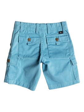 quiksilver, Everyday Cargo - Short, NIAGARA (bkt0) Everyday Cargo - Shorts EQKWS03033