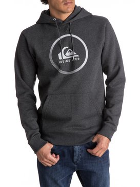 Big Logo - Hoodie  EQYFT03717