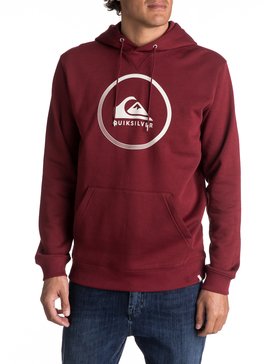 Big Logo - Hoodie  EQYFT03717
