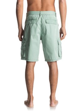 quiksilver, Rogue Beats - Short cargo, ICEBERG GREEN (ghg0) Rogue Beats - Cargo Shorts EQYWS03360