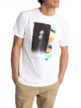 quiksilver, Classic Meridian - Tee-Shirt, WHITE (wbb0) Classic Meridian - T-Shirt EQYZT04510