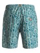 1 Waterman Longwalks 19" - Swim Shorts Green EQMJV03001 Quiksilver