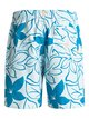 1 Waterman Nassau Chroma 18" - Swim Shorts Blue EQMJV03003 Quiksilver