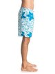 4 Waterman Nassau Chroma 18" - Swim Shorts Blue EQMJV03003 Quiksilver