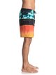 2 Blocked Resin Camo 18" - Board Shorts Blue EQYBS03741 Quiksilver