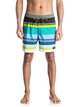 1 Swell 17" - Swim Shorts Green EQYJV03197 Quiksilver