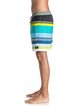 2 Swell 17" - Swim Shorts Green EQYJV03197 Quiksilver