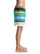 3 Swell 17" - Swim Shorts Green EQYJV03197 Quiksilver